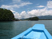 IMG_3905
