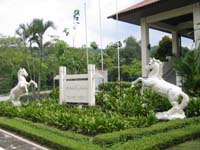 IMG_4984