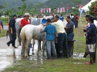 IMG_3498