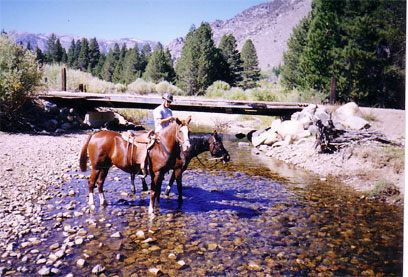 Jeremy Reynolds, riding at Bridgeport