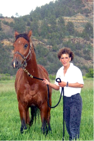 Fort Howes NC 50: Michelle Mattingly & DS Aristoi; 1st Featherweight and Best Conditioned. photo by Fritz Harshbarger