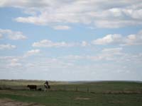IMG_4375