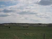IMG_4390