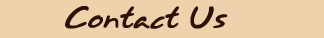 Contacting Endurance.Net