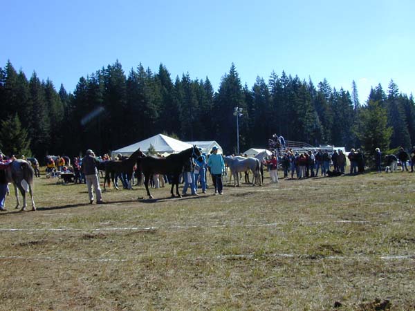 DSCN3832