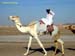 213_camel_boy