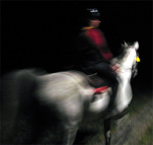 Daniel McGunigal and Flash Flame at the start