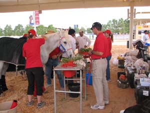 IMG_0611