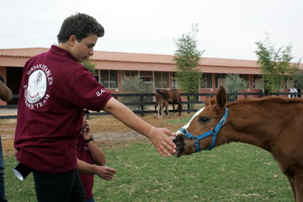  Prince Abdul Hamid Mohammed Al Saleh at W'rsan Farm