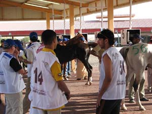 IMG_1071