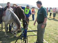 IMG_1156