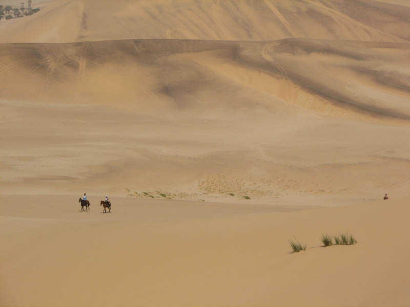 dune7 031