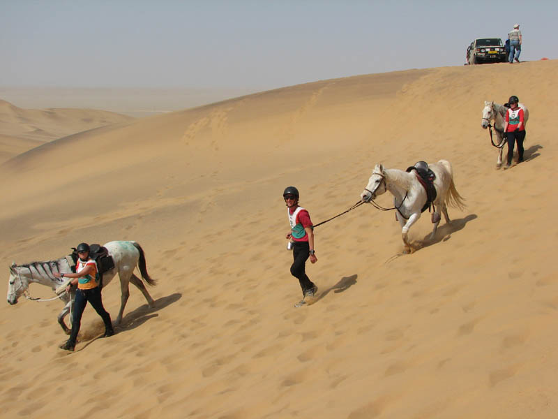 dune7 045