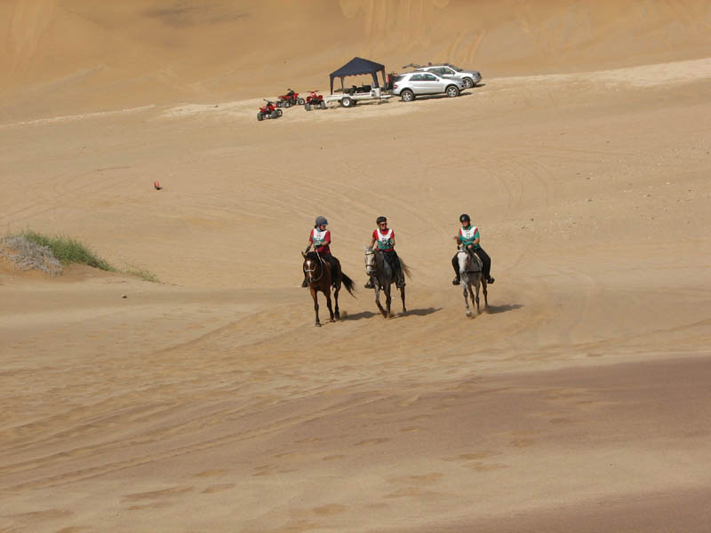 dune7 047