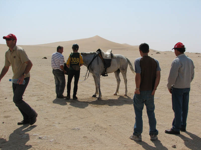 dune7 050