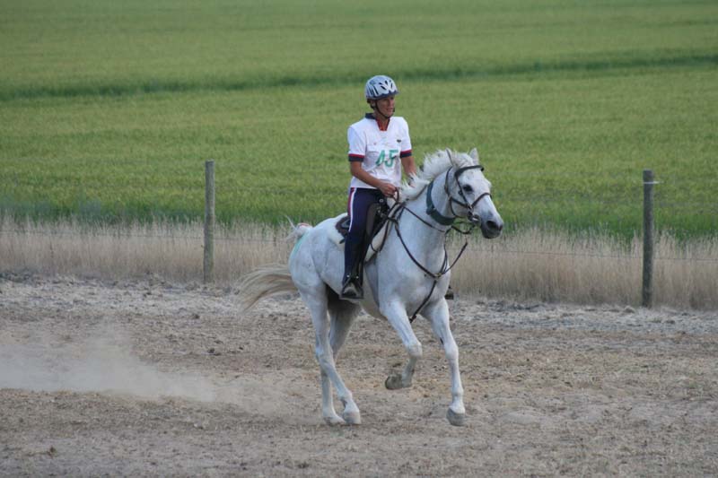 PECH083
