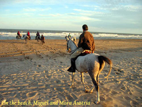 Mar12_beachmiguel1