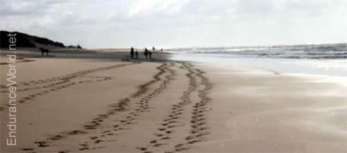 mbpinamar_wed_beachtracks
