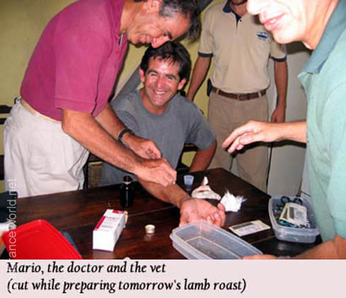 mbpinamar_wed_mario