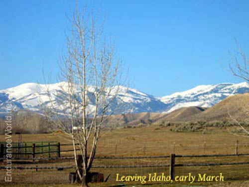 wArrival_leavingidaho