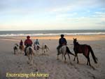 international/Argentina/2004Pinamar/gallery/Set1/thumbnails/Mar12_excersize.jpg