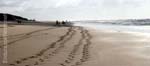 international/Argentina/2004Pinamar/gallery/Set1/thumbnails/mbpinamar_wed_beachtracks.jpg