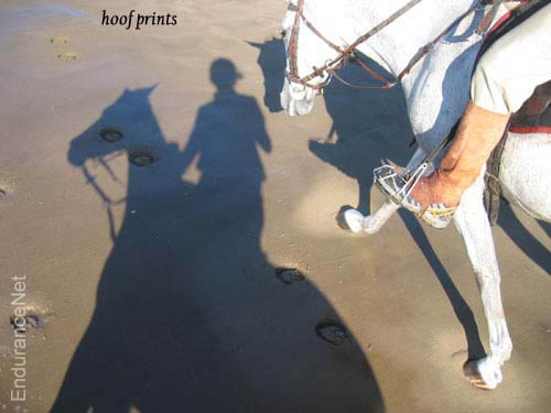 18_pinamar_sat_hoofprints