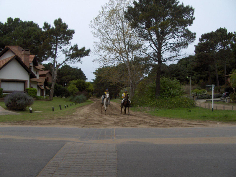 Carrera%20Pinamar%20#80012