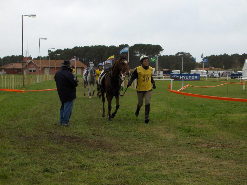 Carrera%20Pinamar%20#80028