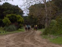 Carrera%20Pinamar%20#80015