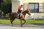 international/Austria/2008BadBlumau/gallery/thumbnails/OSM30046.jpg