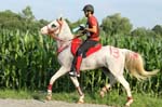 international/Austria/2008BadBlumau/gallery/thumbnails/OSM30108.jpg