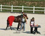 international/Austria/2008BadBlumau/gallery/thumbnails/OSM30360.jpg