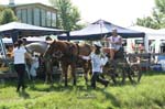 international/Austria/2008BadBlumau/gallery/thumbnails/OSM30429.jpg