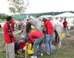 international/Austria/2008BadBlumau/gallery/thumbnails/OSM30790.jpg