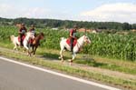international/Austria/2008BadBlumau/gallery/thumbnails/OSM31243.jpg