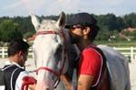 international/Austria/2008BadBlumau/gallery/thumbnails/OSM31392.jpg