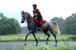 international/Austria/2008BadBlumau/gallery/thumbnails/OSM39779.jpg