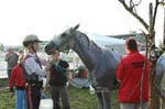 international/Austria/2008BadBlumau/gallery/thumbnails/OSM39922.jpg