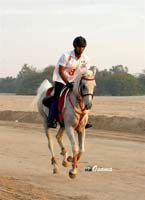 _SAM3180
