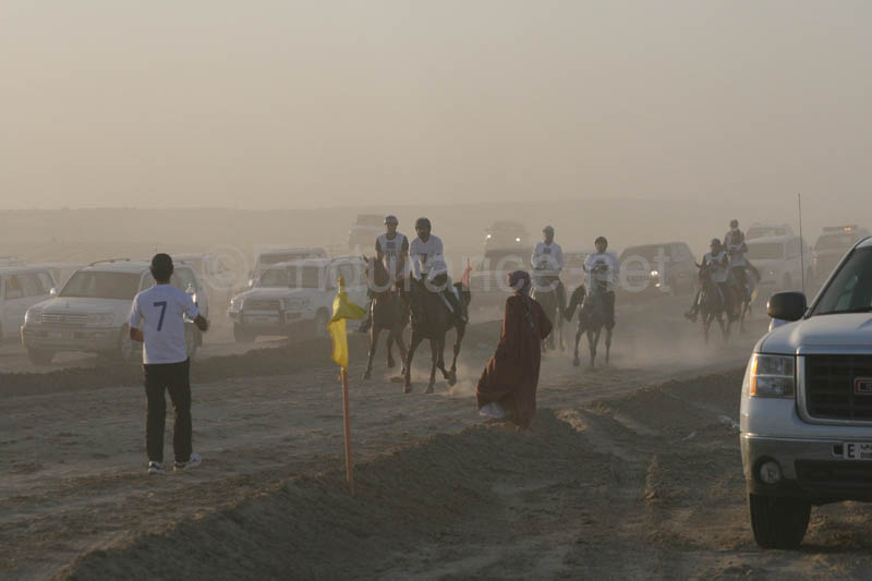 0902UAE_455