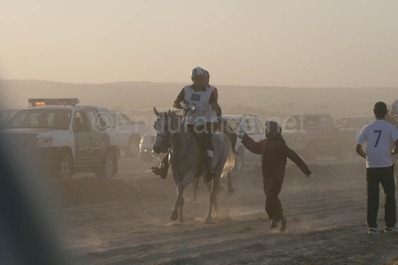 0902UAE_456