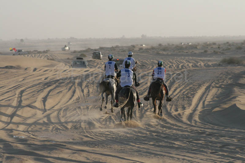 0902UAE_471