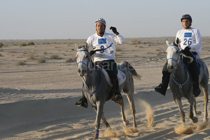 0902UAE_481