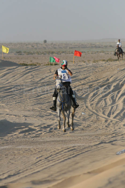 0902UAE_482