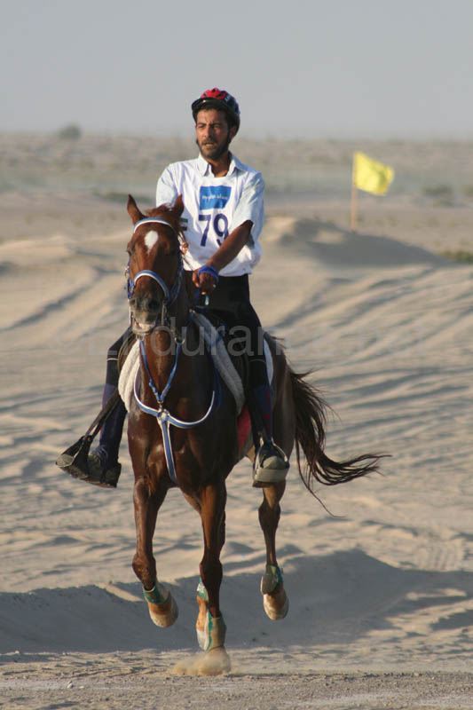 0902UAE_485