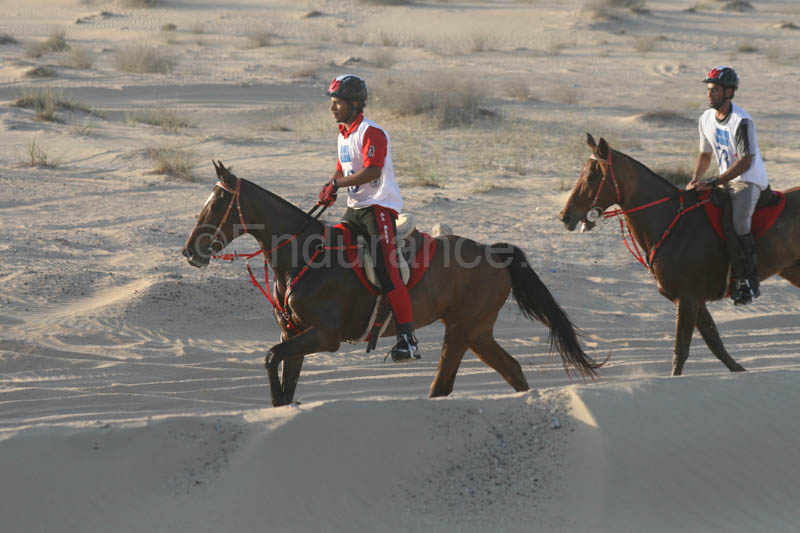 0902UAE_486