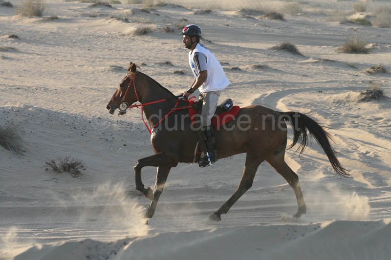 0902UAE_487