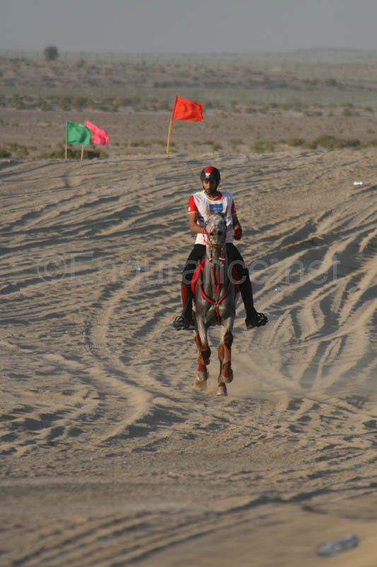 0902UAE_489