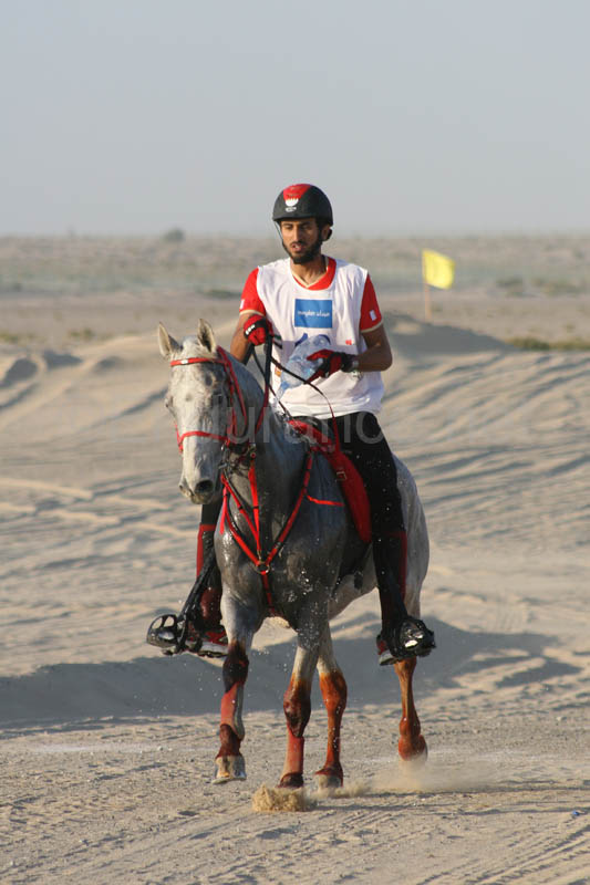 0902UAE_493